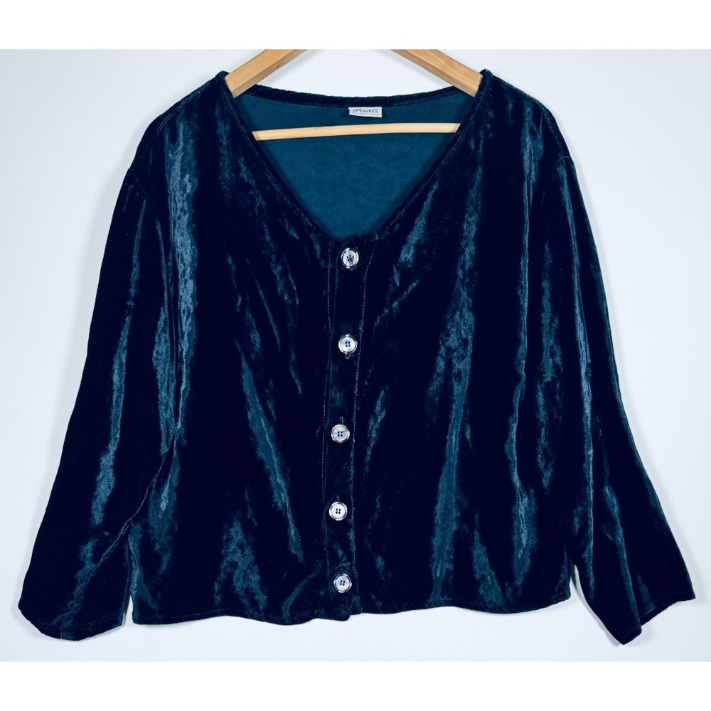 CP Shades SF Velvet Shirt Women Small Blue Rayon V Neck Button Front Boxy Top